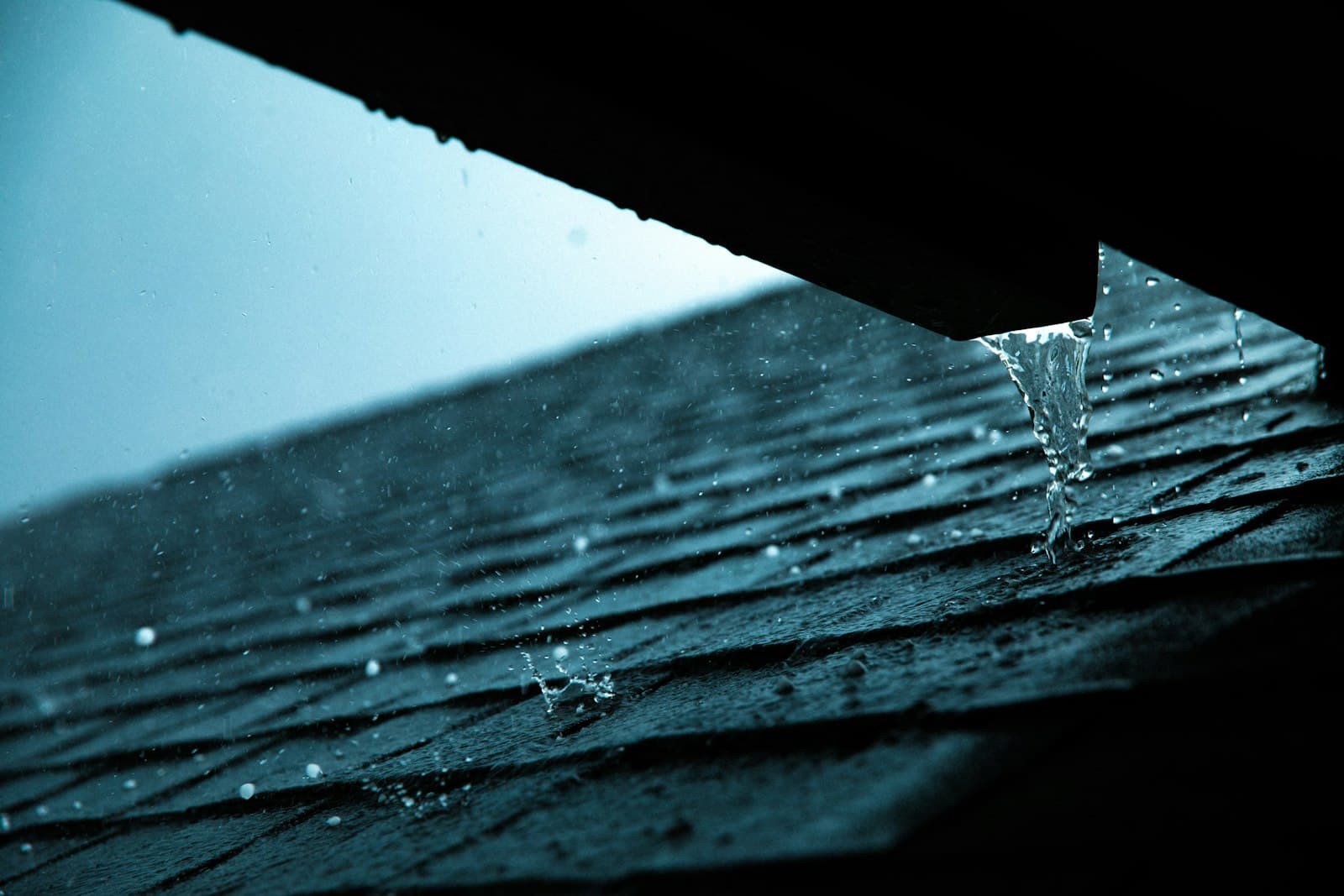 Close-up of a rain gutter on a house roof